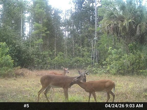 3rd image of 16840 Jozach Dr