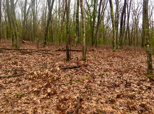 Trail Of The Lakes 5 Lots, Baldwin, MI 49304