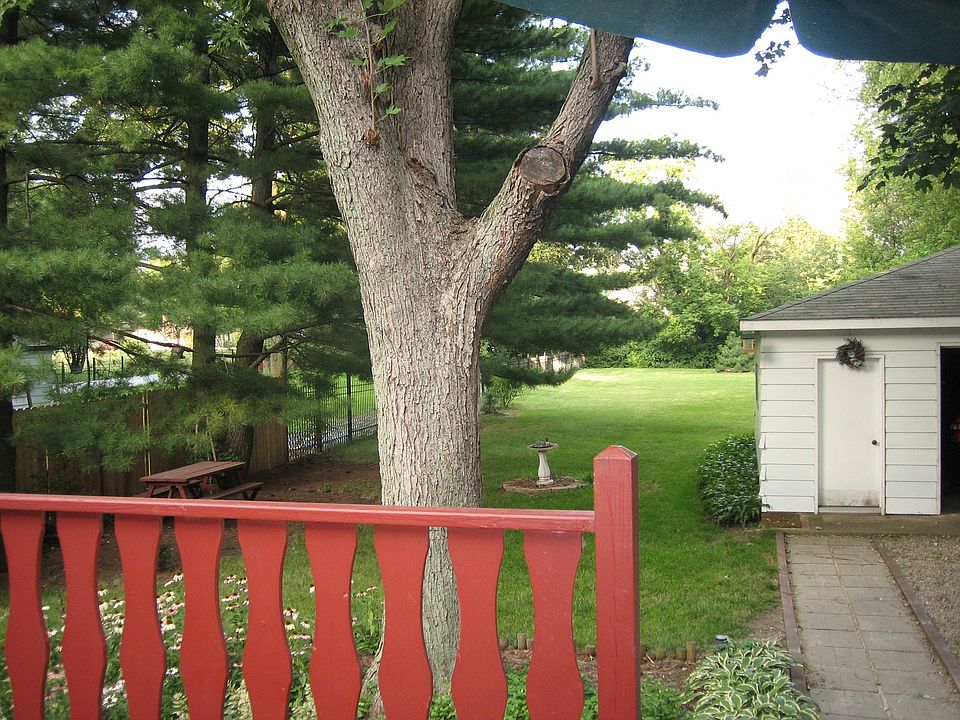 back yard