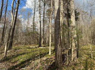 State Line Church Rd LOT 9, Westfield, NC 27053