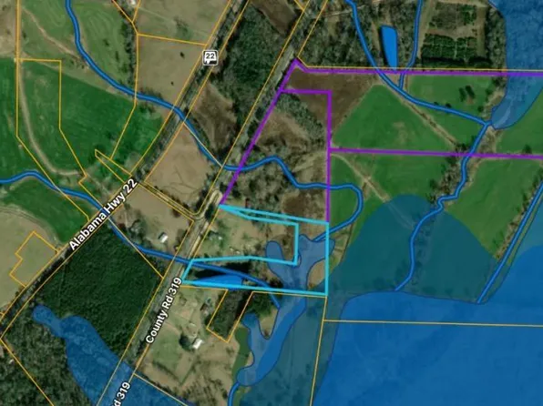 0 County Road 319 #1, Stanton, AL 36790