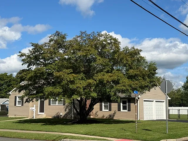 2 bed, 1200 sqft, $2,900 — Photo 3