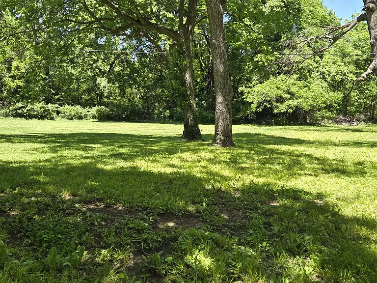 Back yard