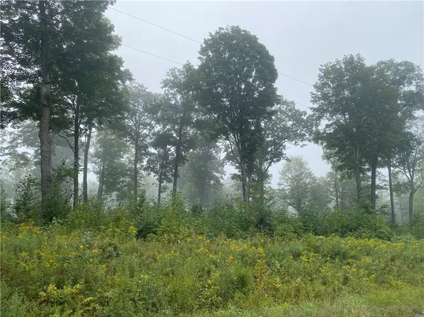 ON N Zettel Road, Exeland, WI 54835