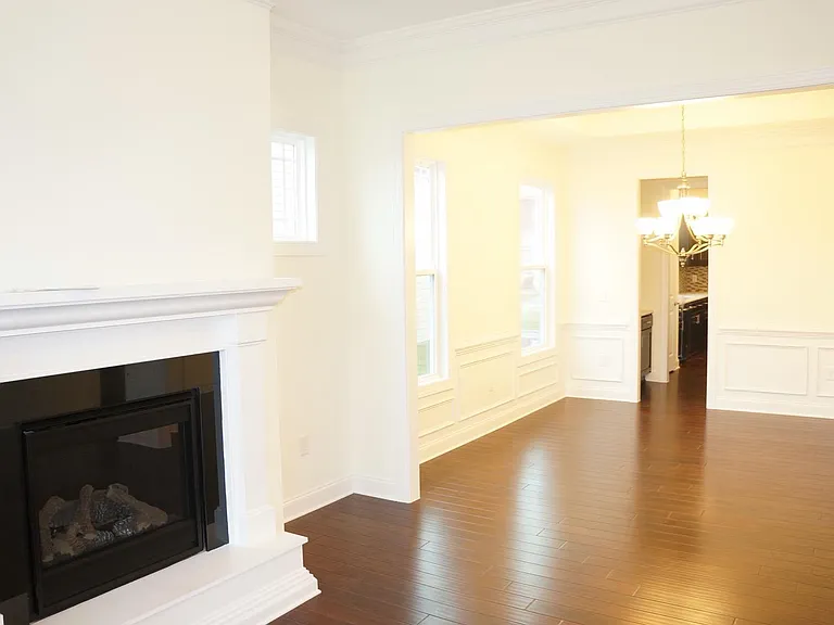 Living-room - gas fireplace