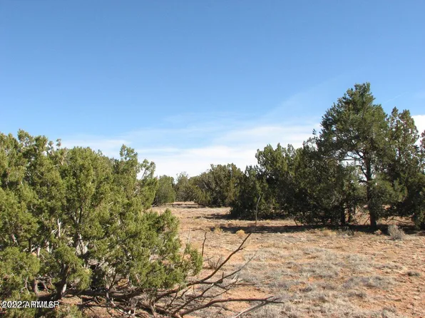 Sec 12 T14N,R16E:Se4 Nw4 Nw4 -- #35, Heber, AZ 85928