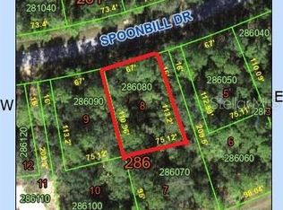 216 Spoonbill Dr LOT 8, Kissimmee, FL 34759