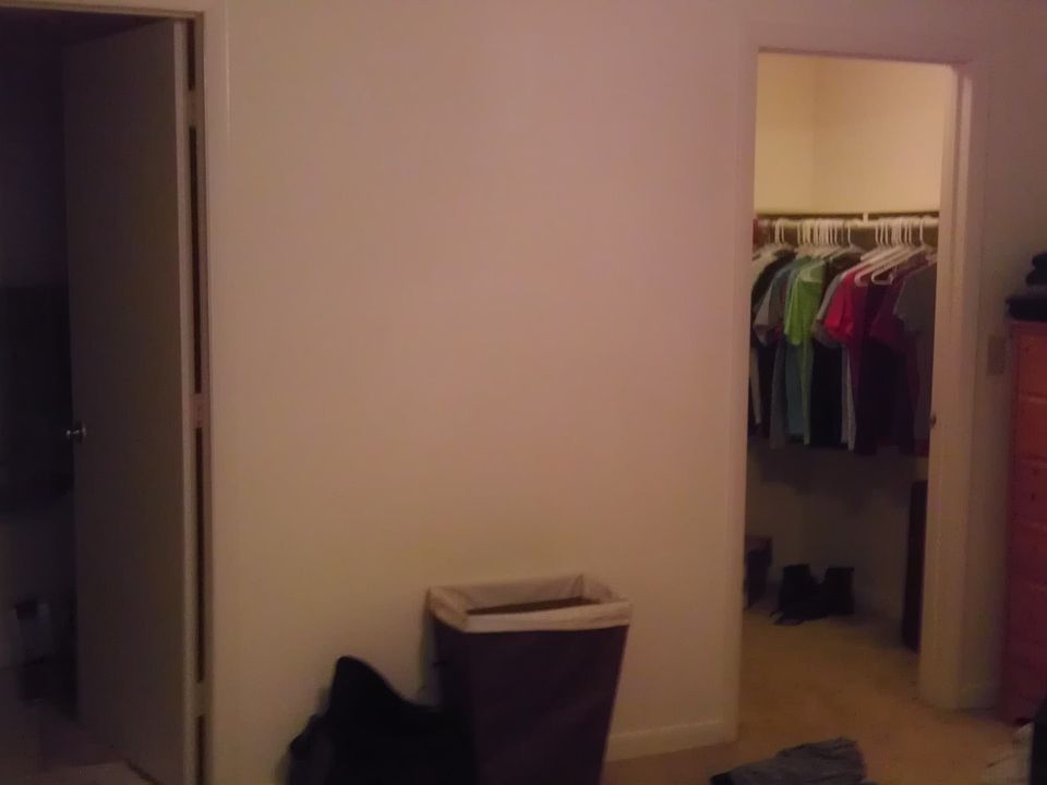 Bedroom and Walk in Closet