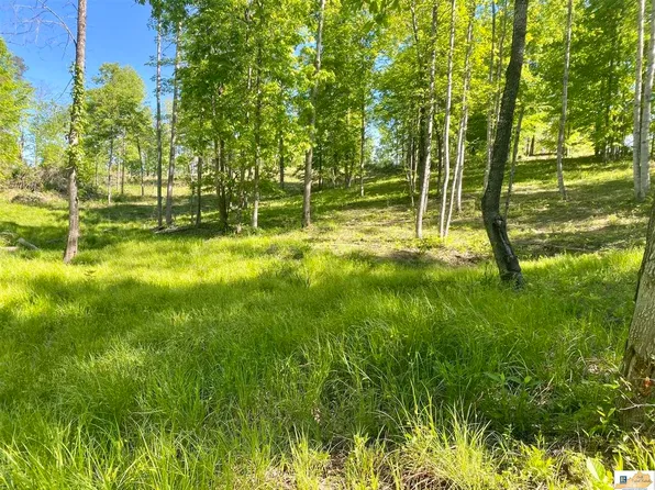 Lots 16 21 Pine Bluff Cir, Burkesville, KY 42717