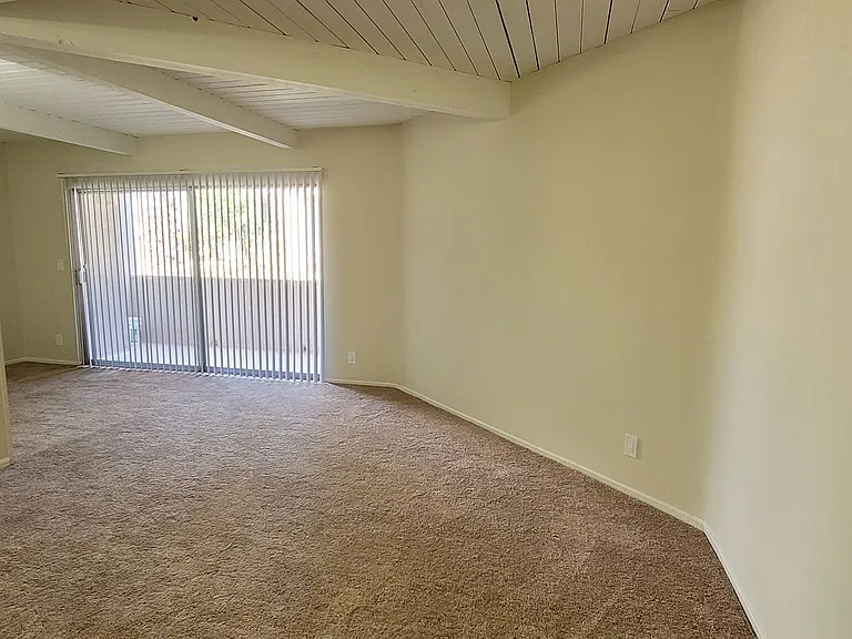 Lido Isle Apartments — Photo 11