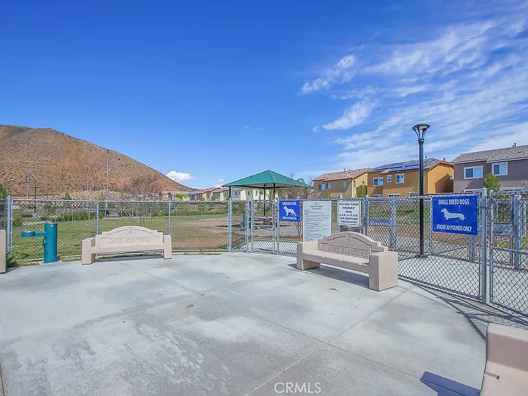 34131 Ambrosia Ct — Photo 59