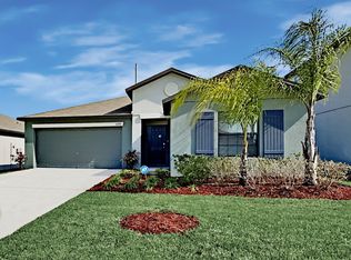 11230 Leland Groves Dr, Riverview, FL 33579