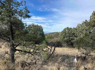 Xx Nizhoni, Silver City, NM 88061