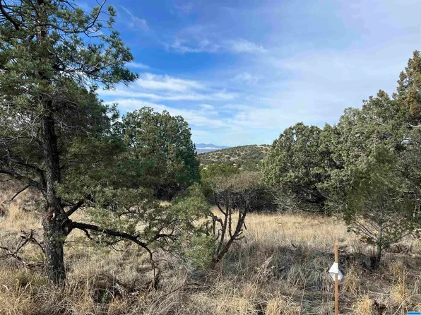 Xx Nizhoni, Silver City, NM 88061