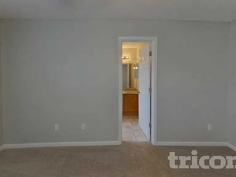 4231 Hanging Moss Dr — Photo 7