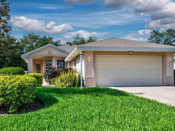 5324 Treasure View Way, Leesburg, FL 34748