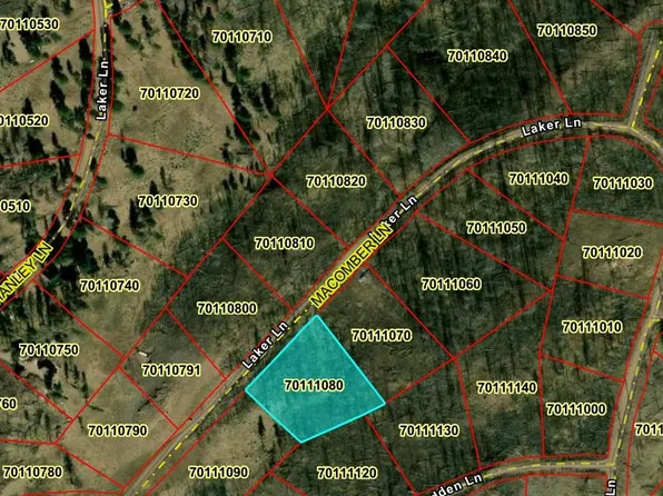 LOT 1195 Laker LOT 1195, Fort Garland, CO 81133