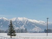 2nd image of 2358 Trumble Creek Rd