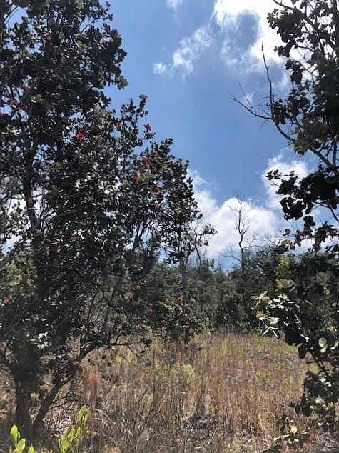 1st image of King Kamehameha Blvd Lot 13