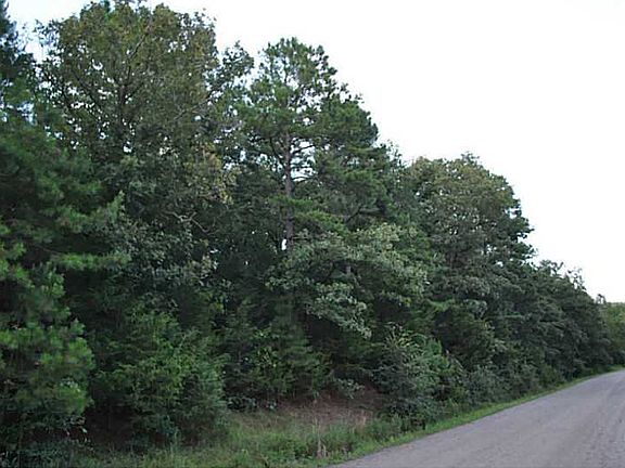 5th image of Hog Thief Valley Road