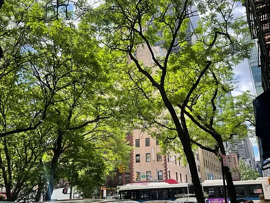 Rented by Oxford Property Group | media 10