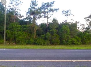 24822 E Colonial Dr, Christmas, FL 32709
