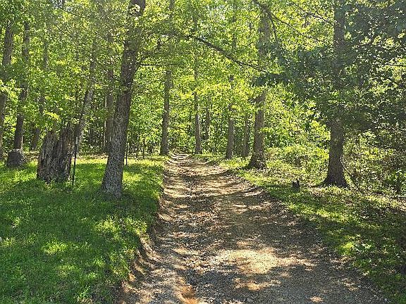 4th image of Tracts 4 5 6 Dooley Hollow Rd