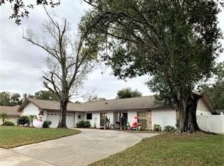 2806 Beagle Pl, Seffner, FL 33584