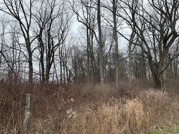 N Portage St, Doylestown, OH 44230