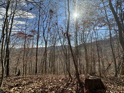 9999 Moores Creek Rd, Fourmile, KY, 40939