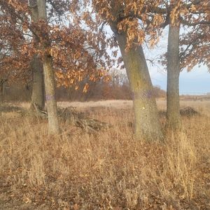 65515 Sevison Rd, Constantine, MI, 49042