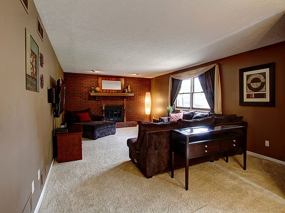 Plush Carpet
