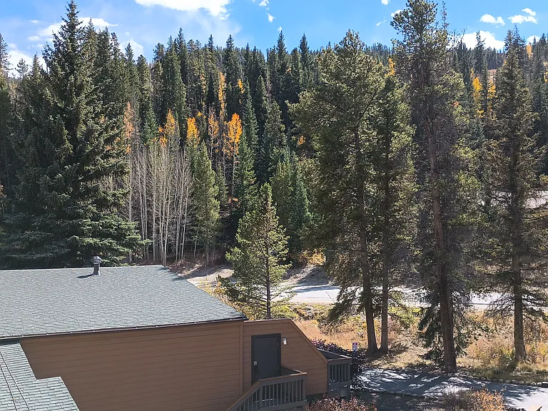 view from deck