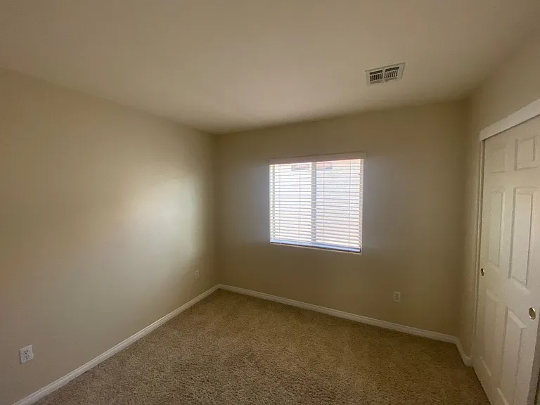269 Bent Sunflower Ct — Photo 16