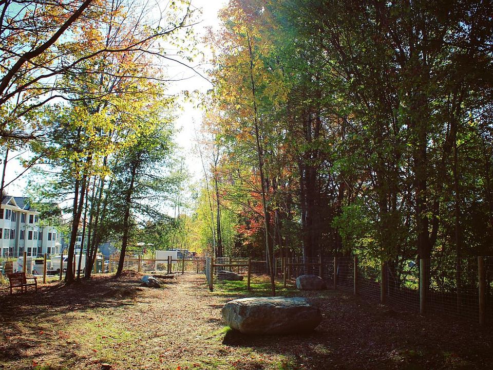 Dog Park
