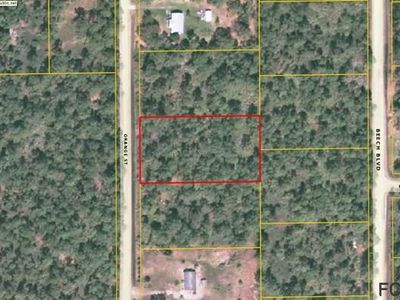 2277 Orange St, Bunnell, FL, 32110