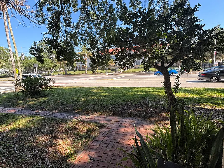 View of Backyard