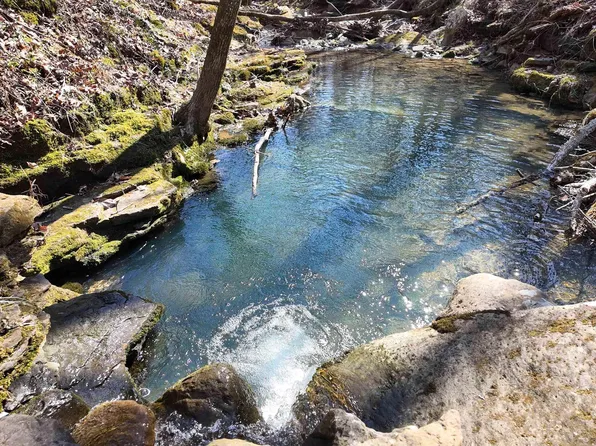 1289 Dodd Mountain Rd, Shirley, AR 72153