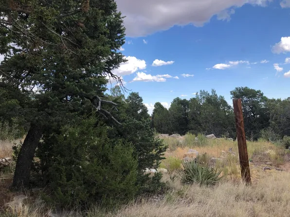 69 Sundance Kid Rd, Edgewood, NM 87015