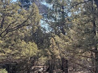 2 Costilla Pl LOT 19-20, Mosca, CO 81146