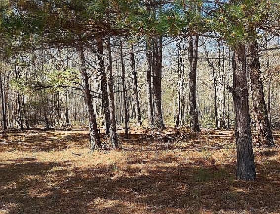3rd image of 735 Private Road 7830