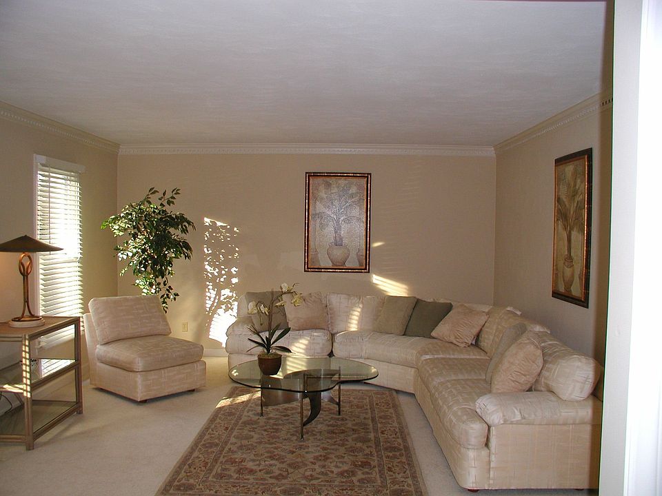 Beautiful Light Transitional Interior 
