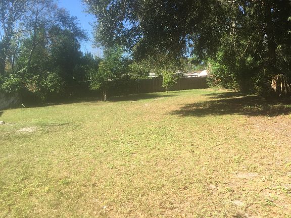 Huge yard with citrus trees