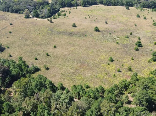 Off Of Fm #2423, Grapeland, TX 75844