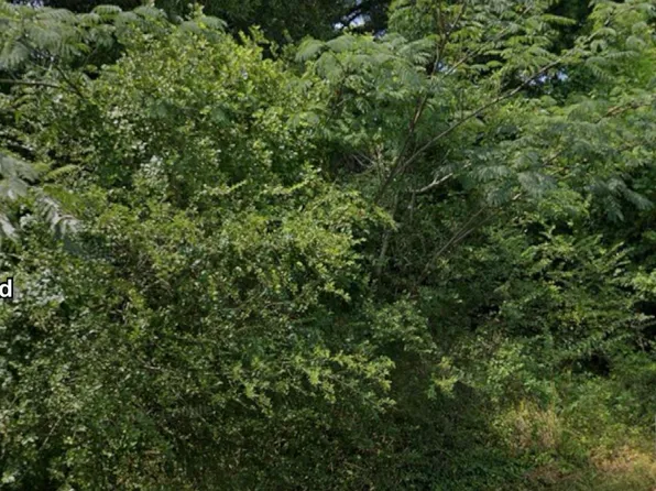 1159 Mattison Rd, Conway, AR 72034