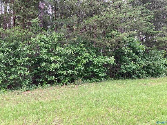 5th image of 1 George Wallace Dr