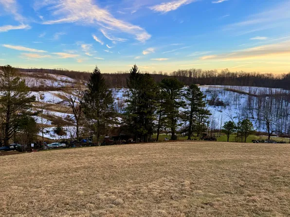 360 Adam Steele Rd, Cowen, WV 26206