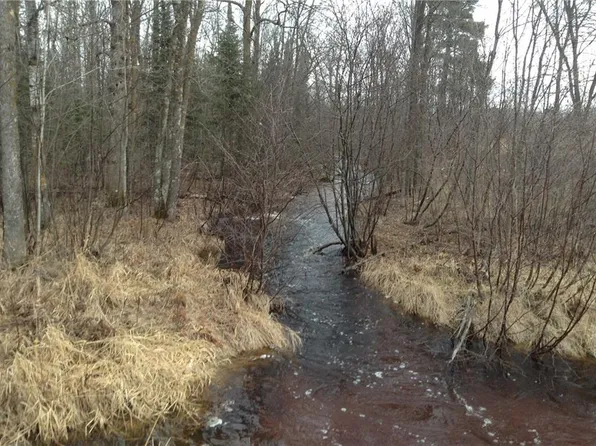 XXX State Highway 35, Dairyland, WI 54830