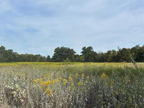 Snyder Rd, Troy, MO 63379