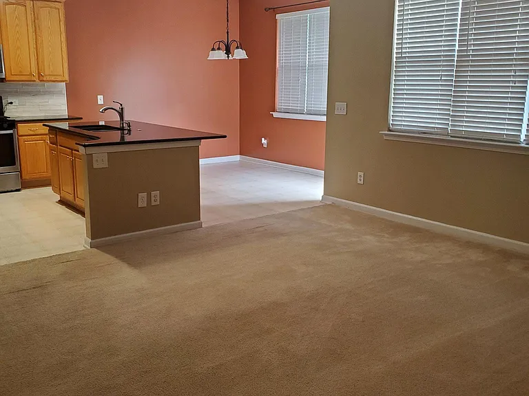 16816 Kettlewell Ln — Photo 6
